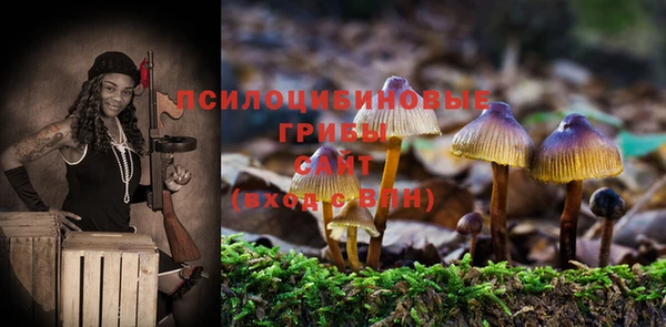 шишки Балабаново