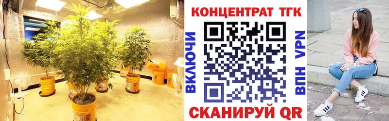 Дистиллят ТГК концентрат  где купить наркоту  Муравленко 