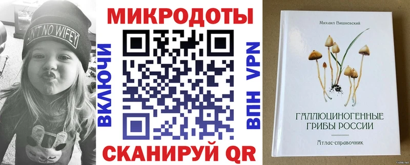 Галлюциногенные грибы Psilocybe  Муравленко 